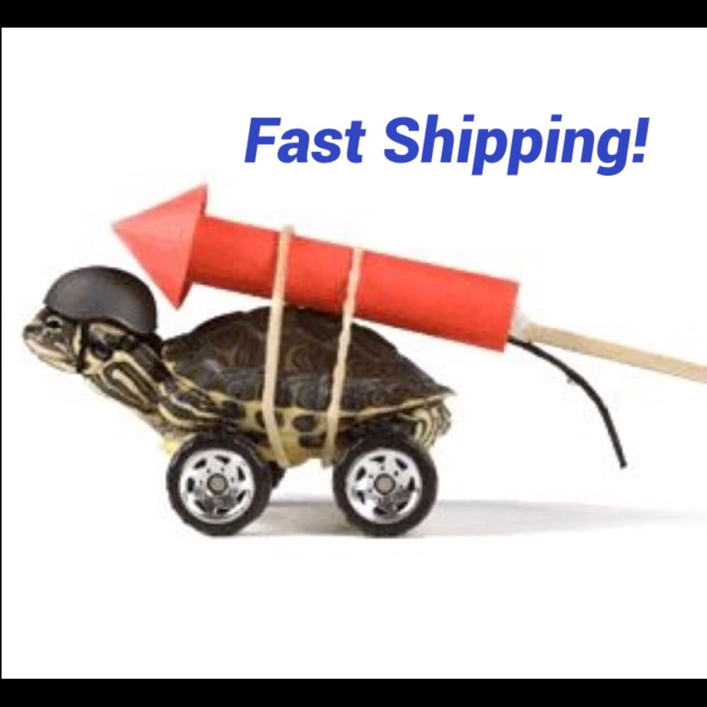 Same or Next Day Shipping